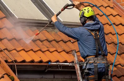 Démoussage et hydrofuge de toiture à Mieussy